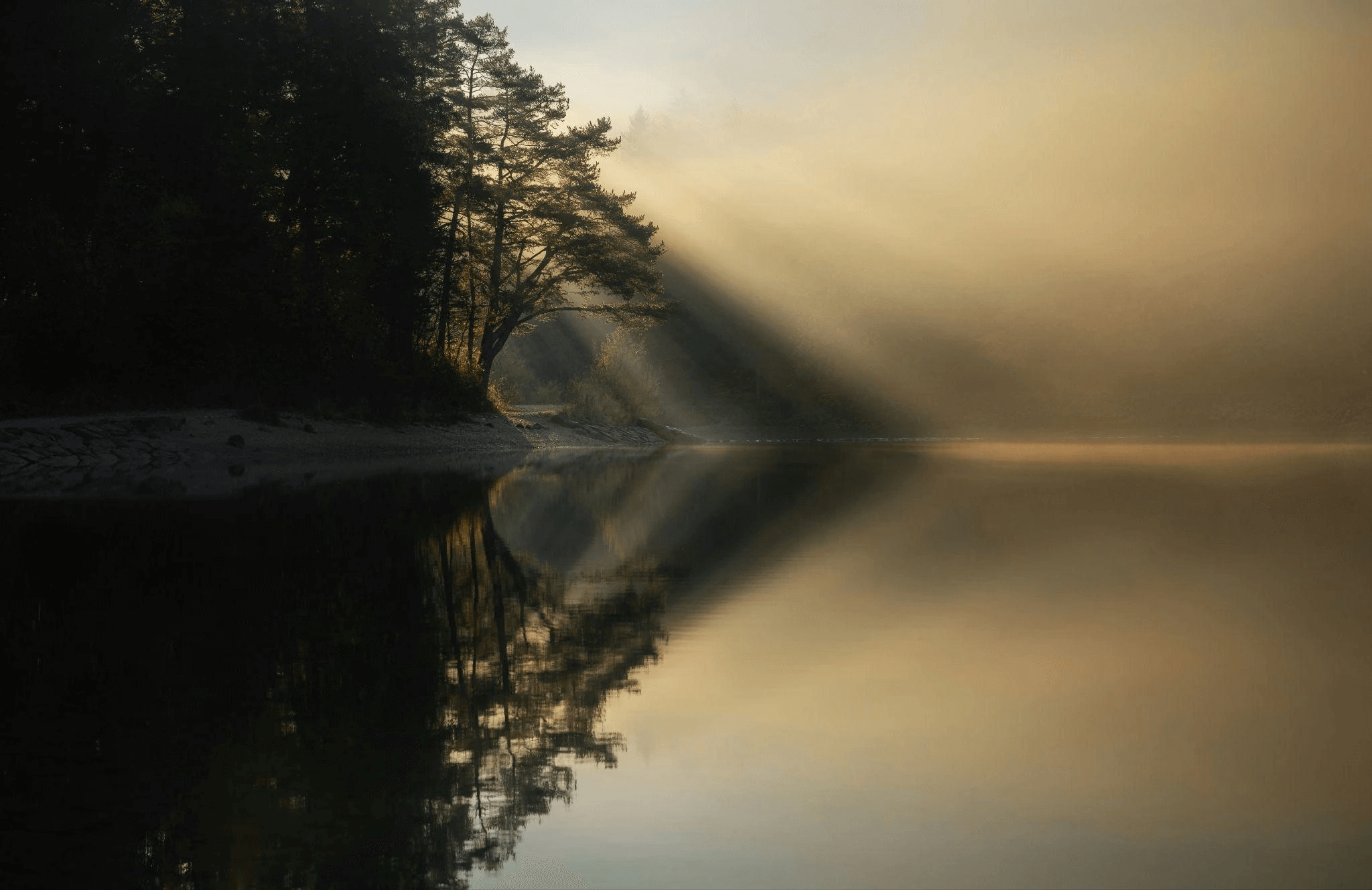 Calm body of water with sun seeping through