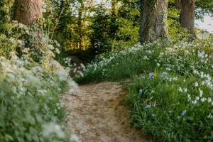 Find your purpose on a trail walk in nature