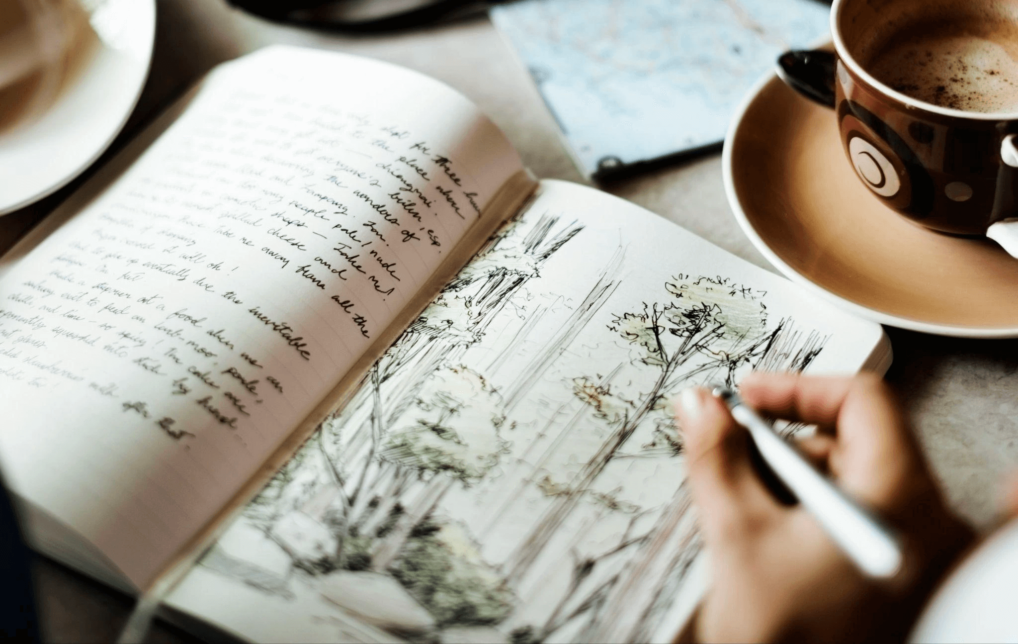Someone journaling and drawing the forest