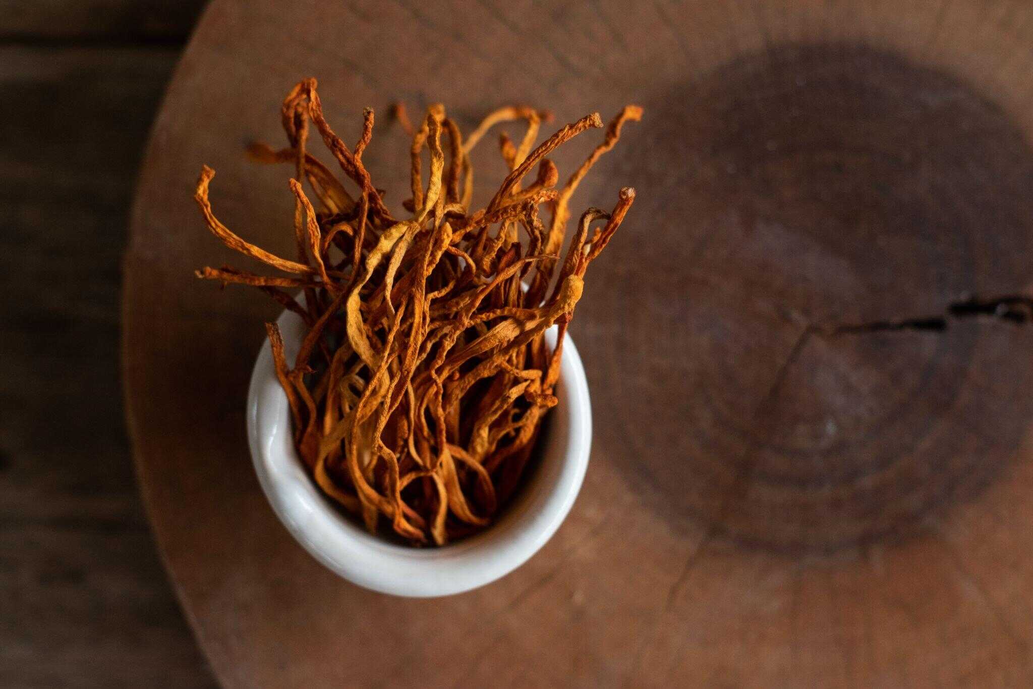 Dry cordyceps militaris in a white bowl with wooden background.