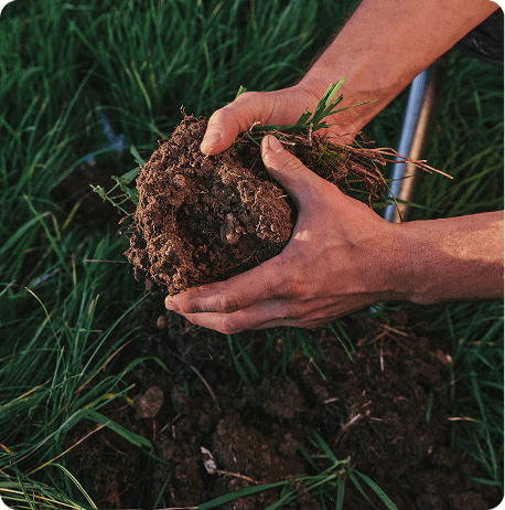 Kavin Mistry M.D.'s Aligned Life Blog.