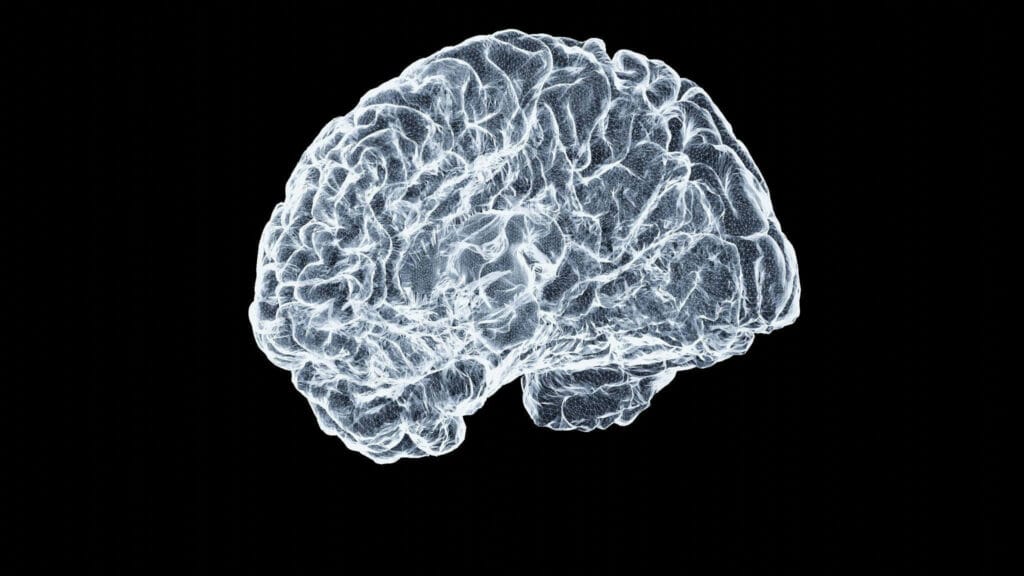 Neuroradiologist, Kavin Mistry, discusses brain development from reading